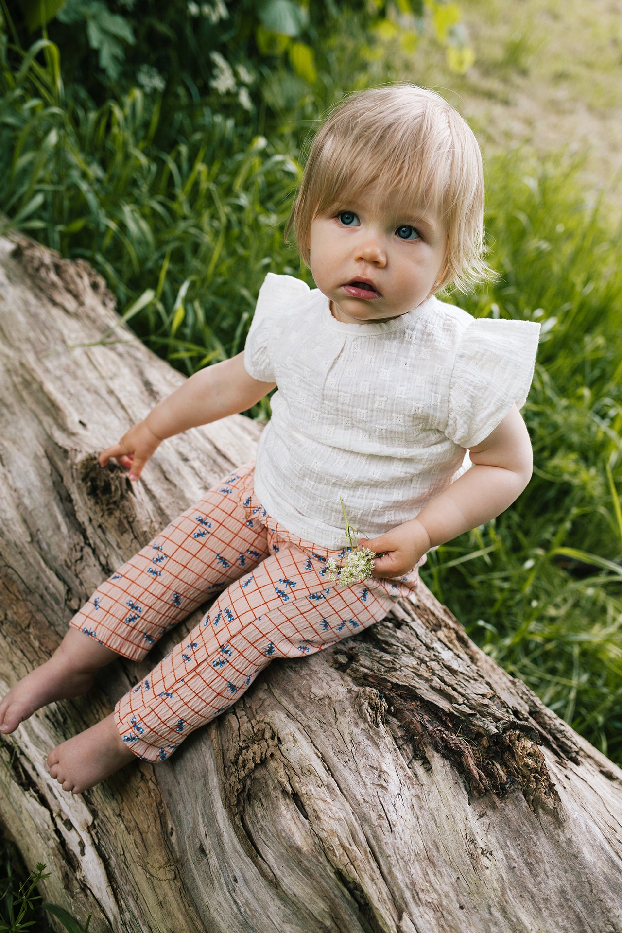 Baggy Pants Butterfly