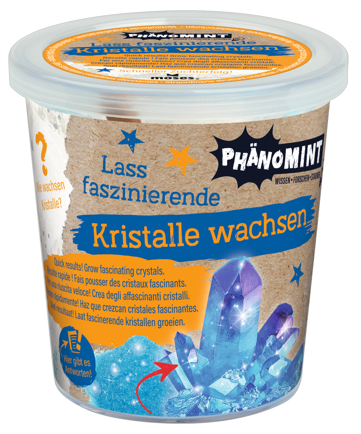 PhänoMINT Kristalle selber züchten