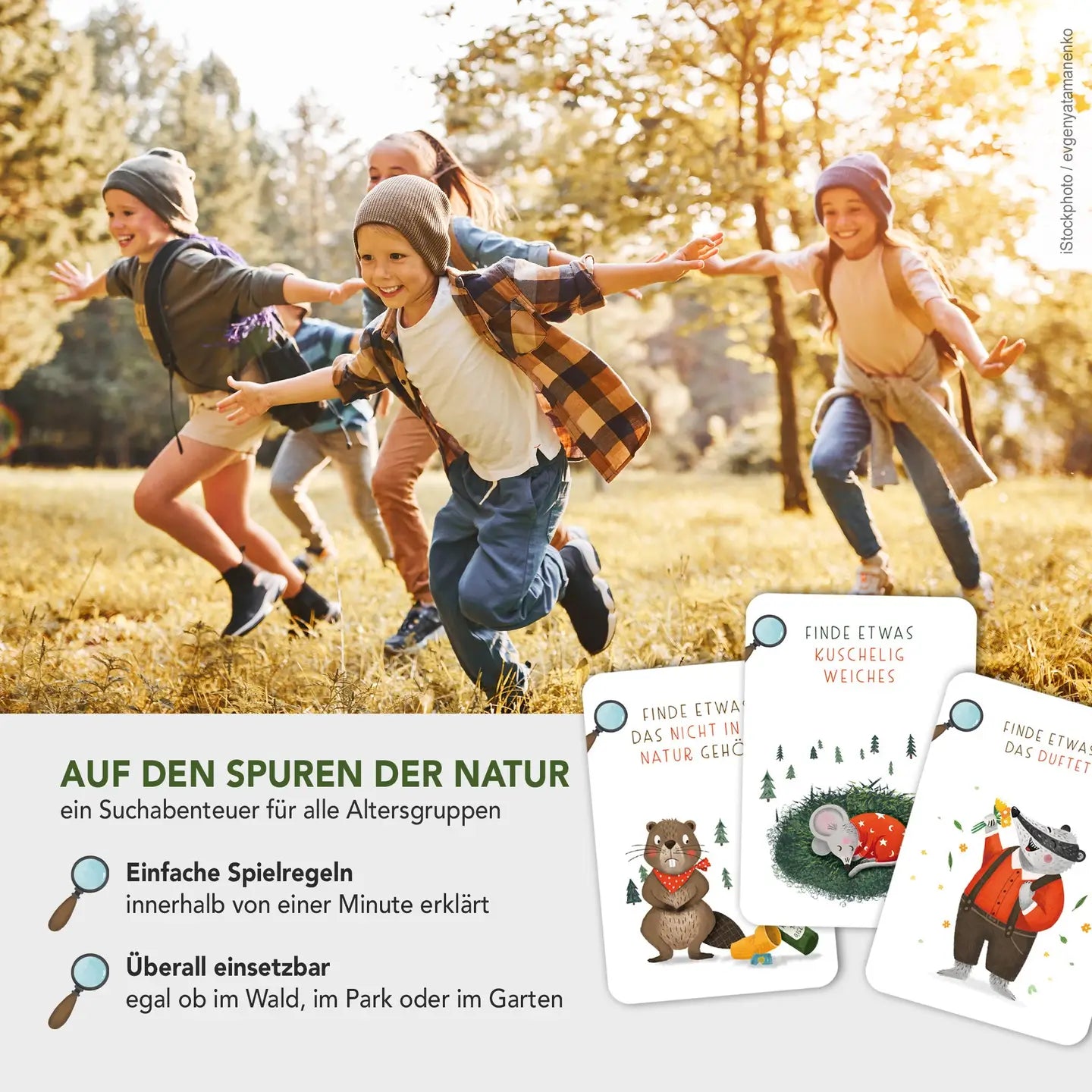 Suchen & Finden | Waldschatzsuche