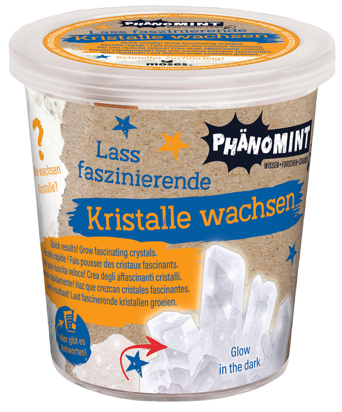 PhänoMINT Kristalle selber züchten