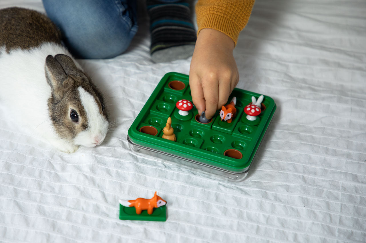 So hüpft der Hase