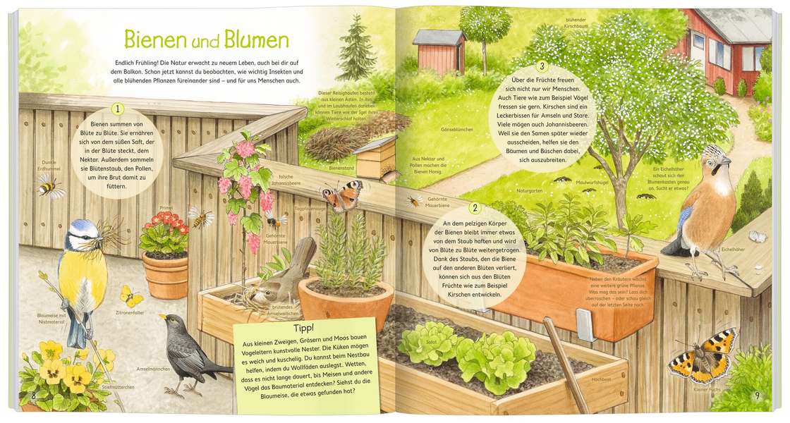 Buch - Miteinander in der Natur