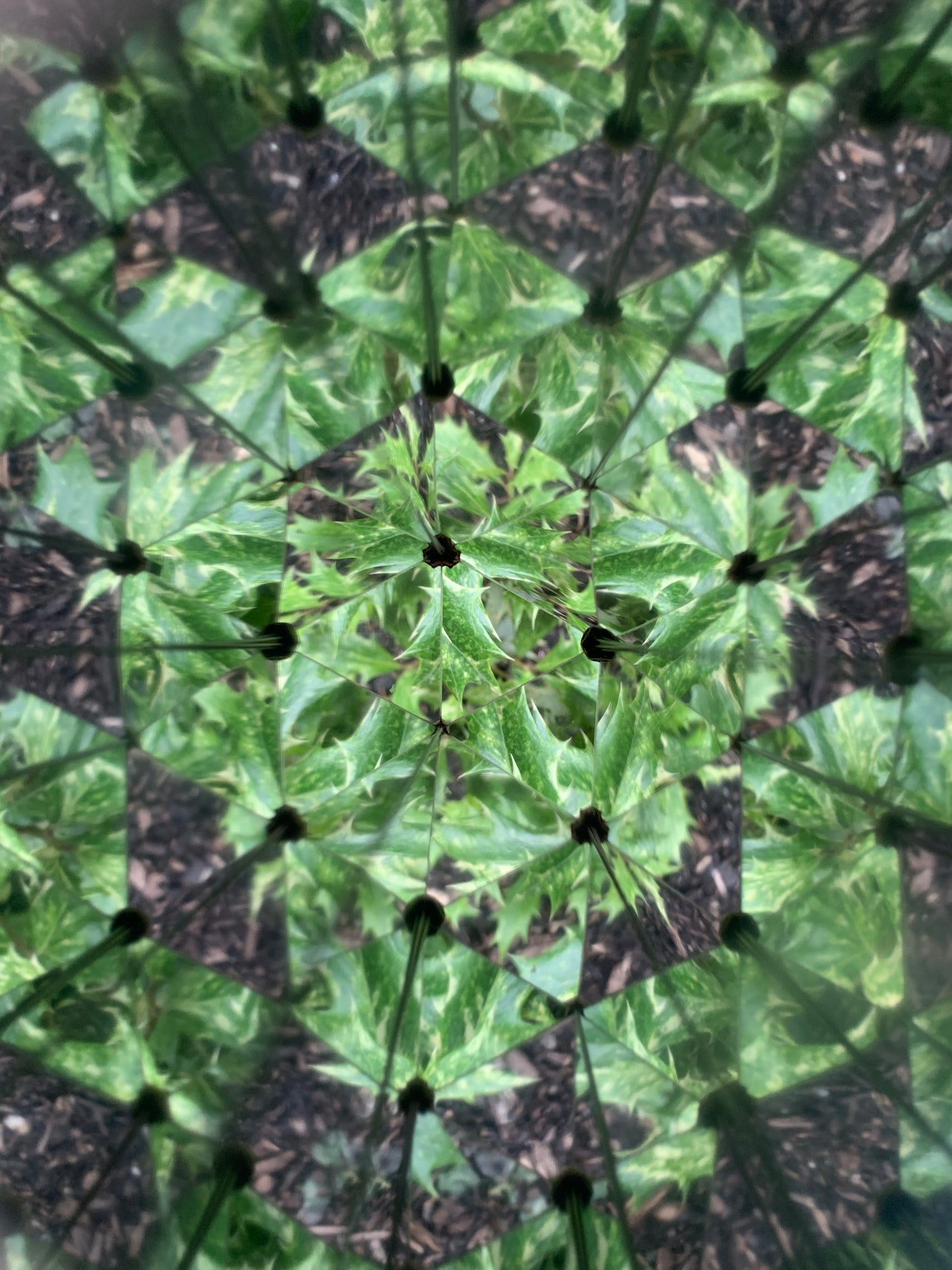 Kaleidoskop