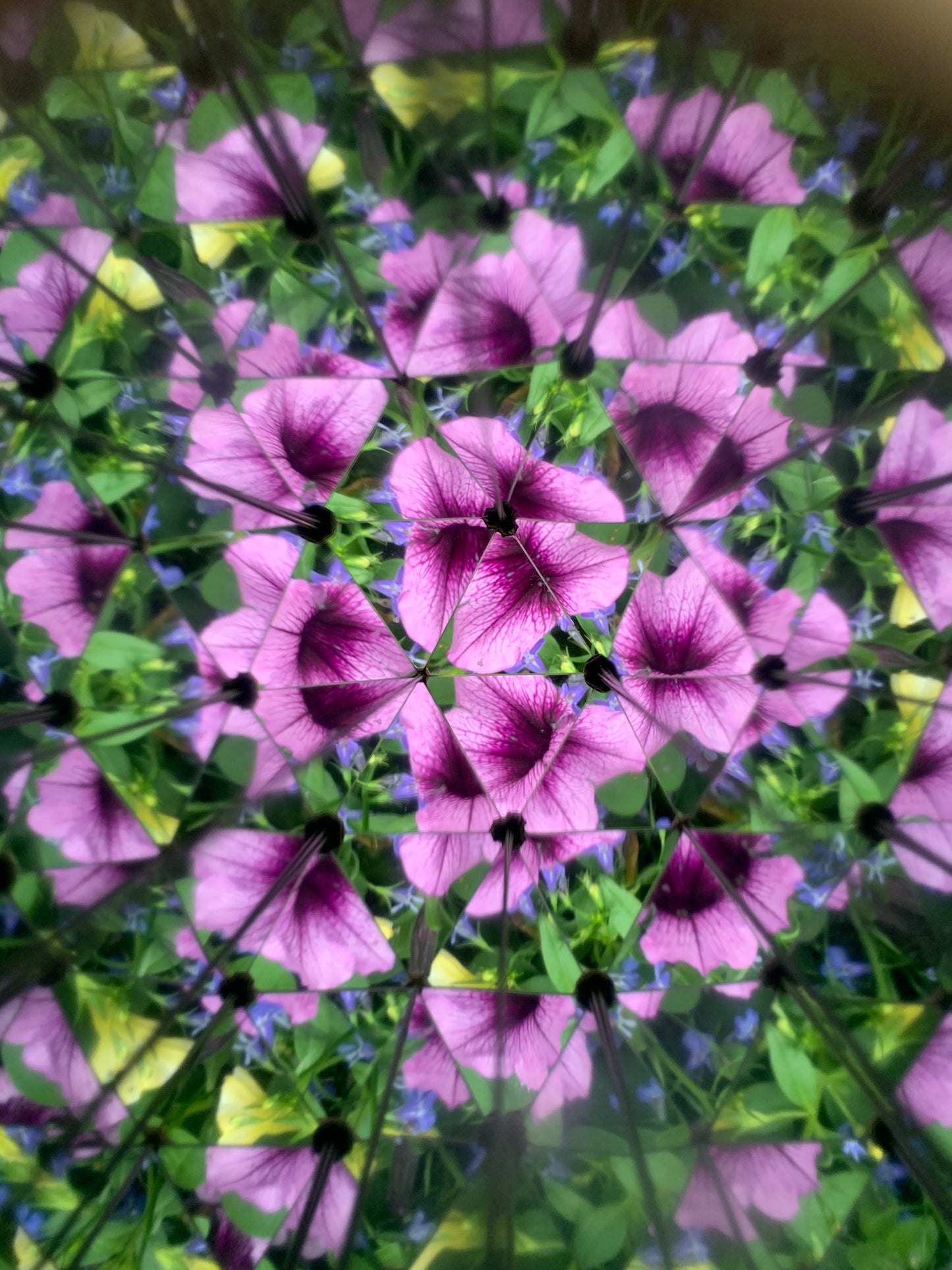 Kaleidoskop