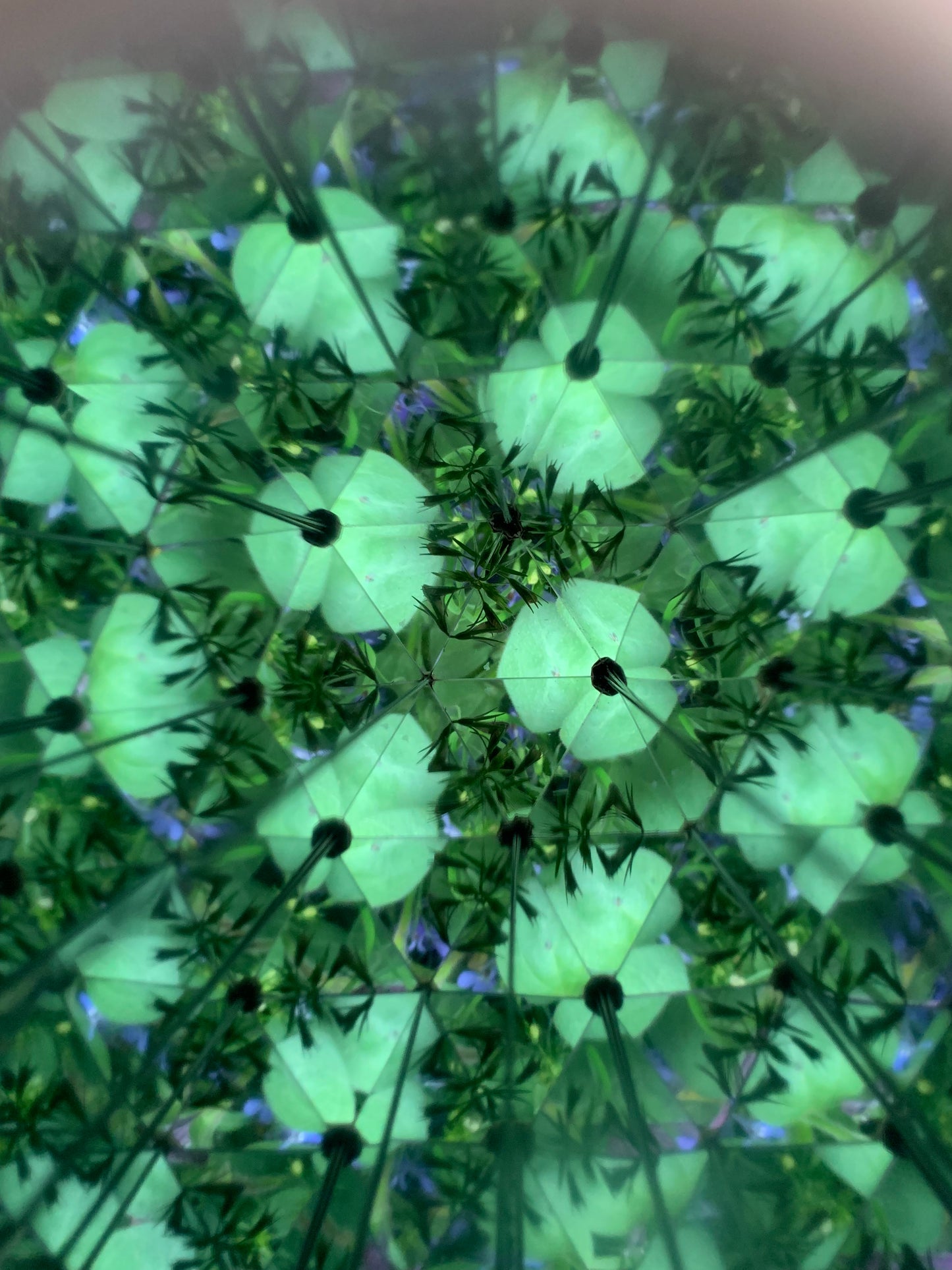 Kaleidoskop
