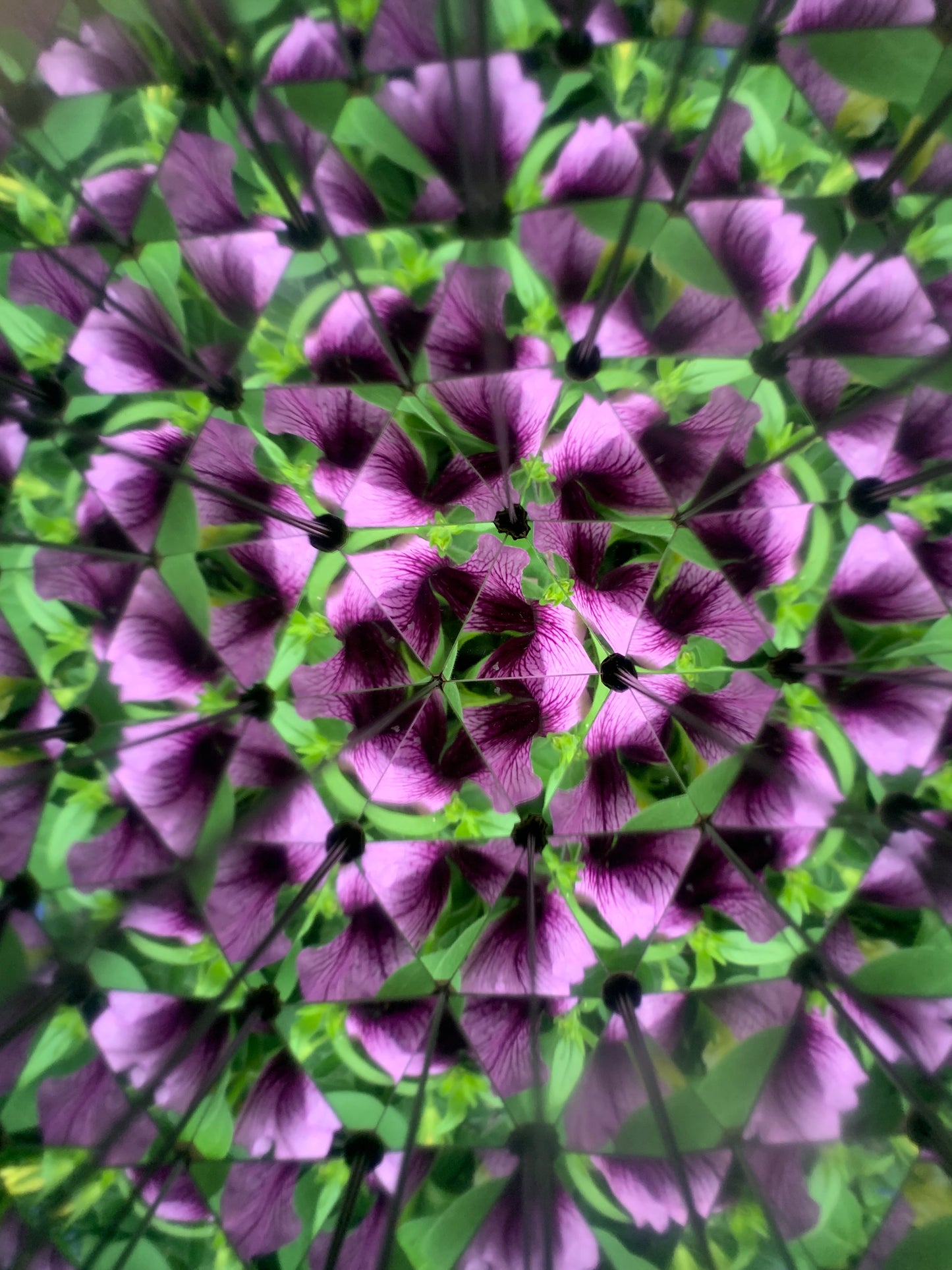 Kaleidoskop