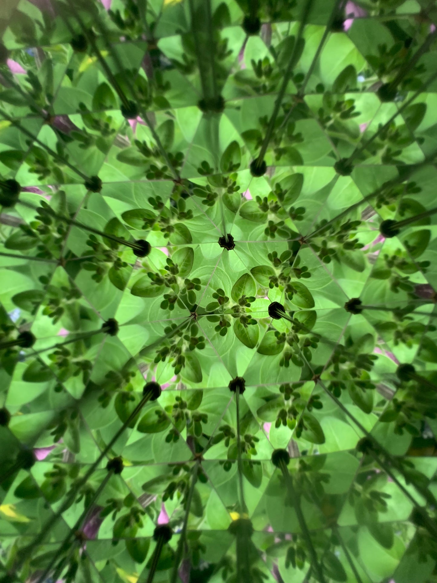 Kaleidoskop