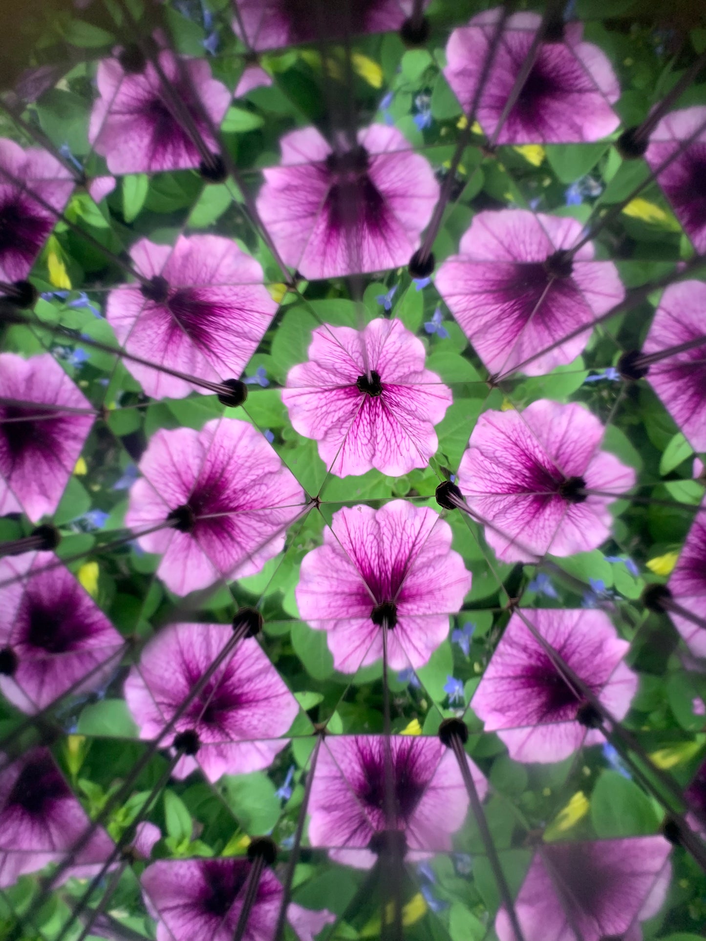 Kaleidoskop