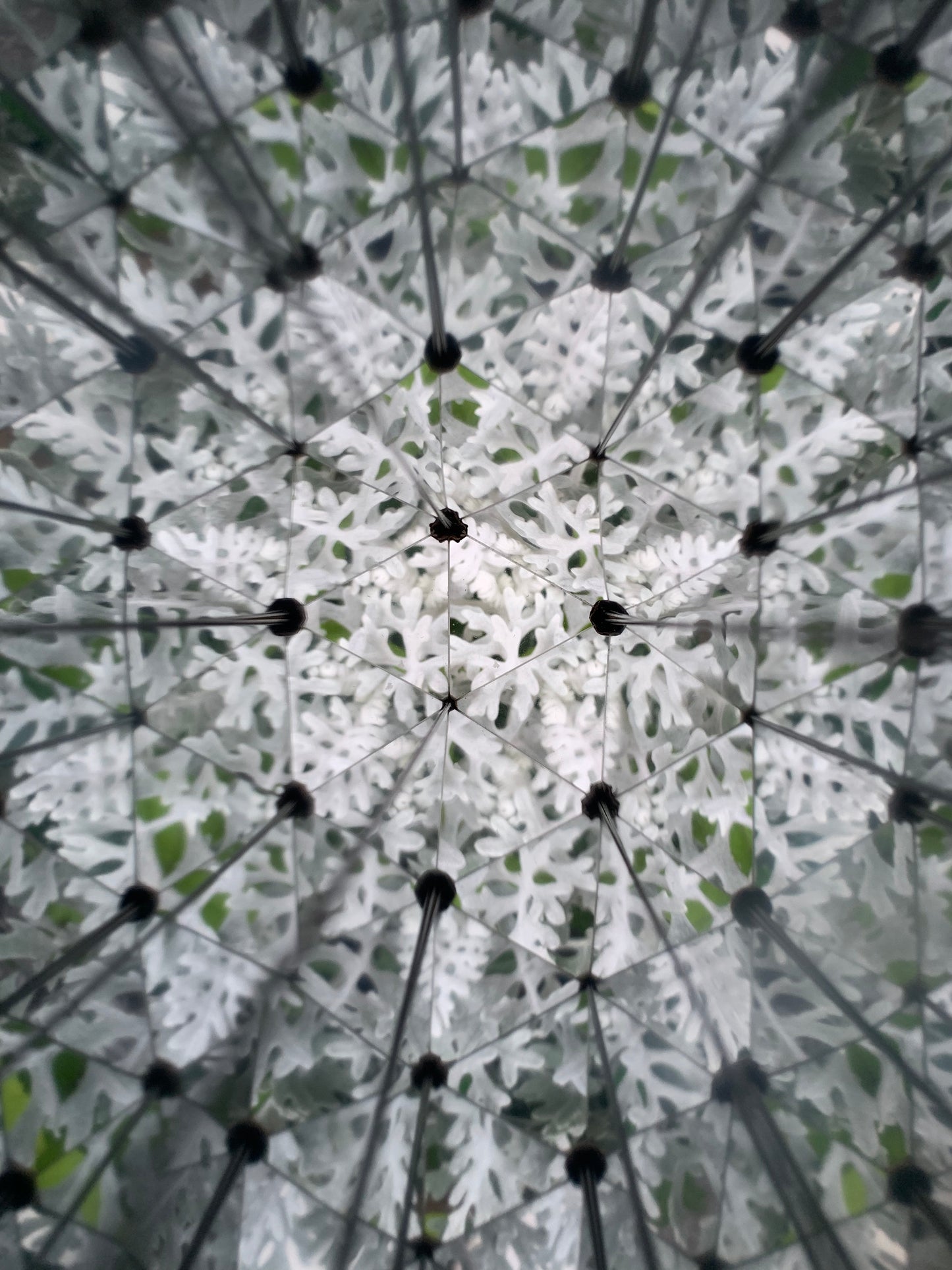 Kaleidoskop