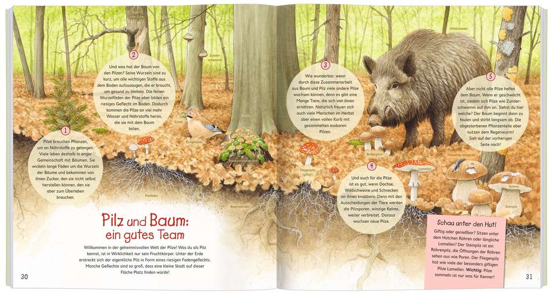 Buch - Miteinander in der Natur