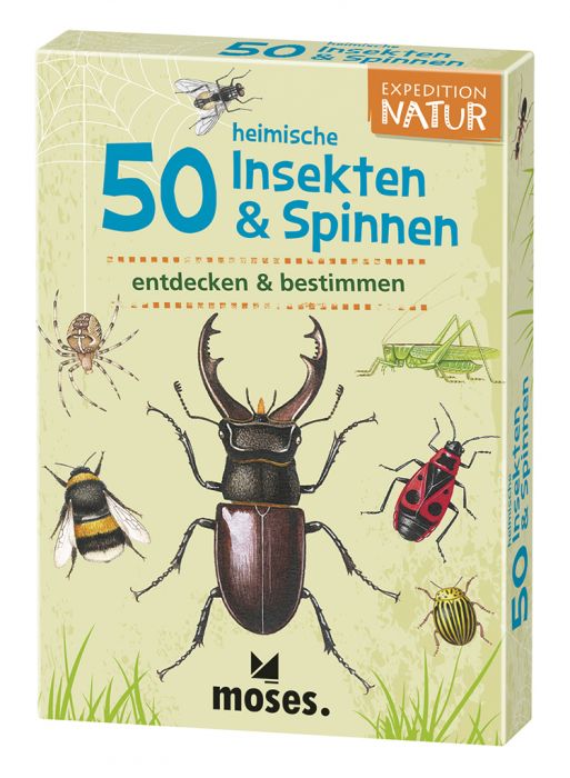 50 Insekten und Spinnen