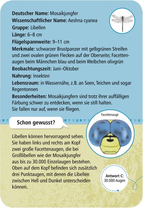 50 Insekten und Spinnen
