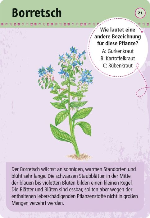 50 essbare Wildpflanzen