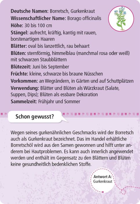 50 essbare Wildpflanzen