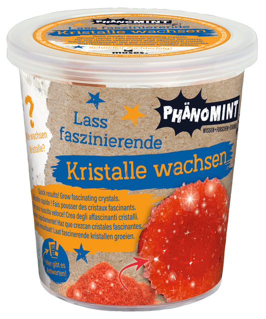 PhänoMINT Kristalle selber züchten