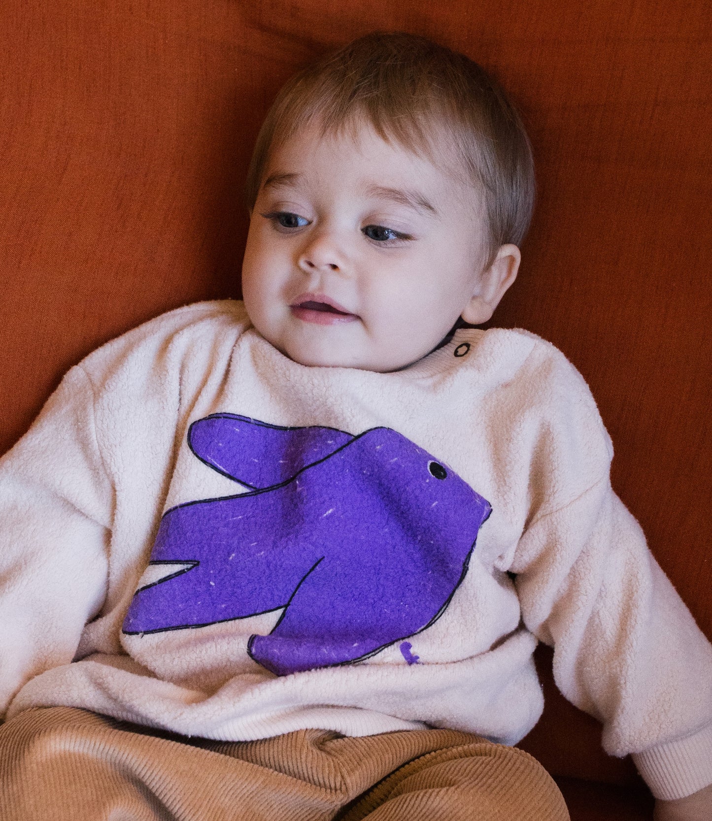 Bird Teddy Sweatshirt | Baby
