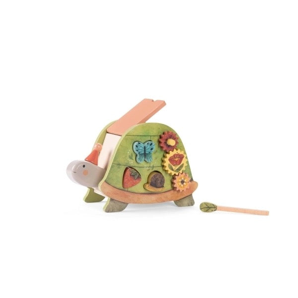 Aktivitäten Schildkröte