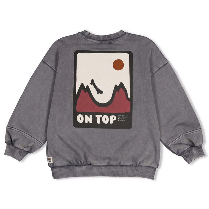 Sweater mit Rückenprint Mountain Top | Sturdy