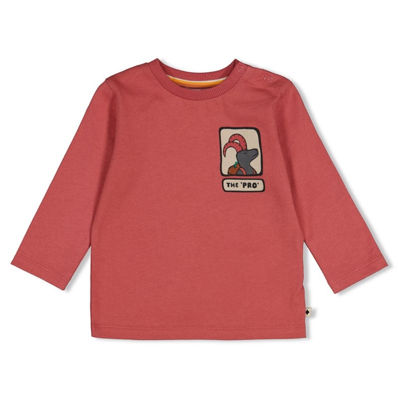 Longsleeve Mountain | feetje