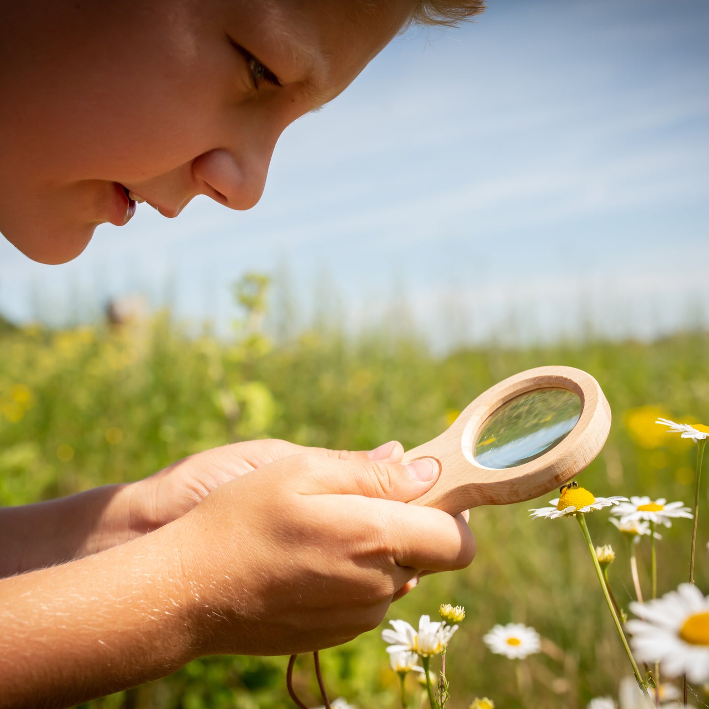 Lupe Magnifier aus Holz