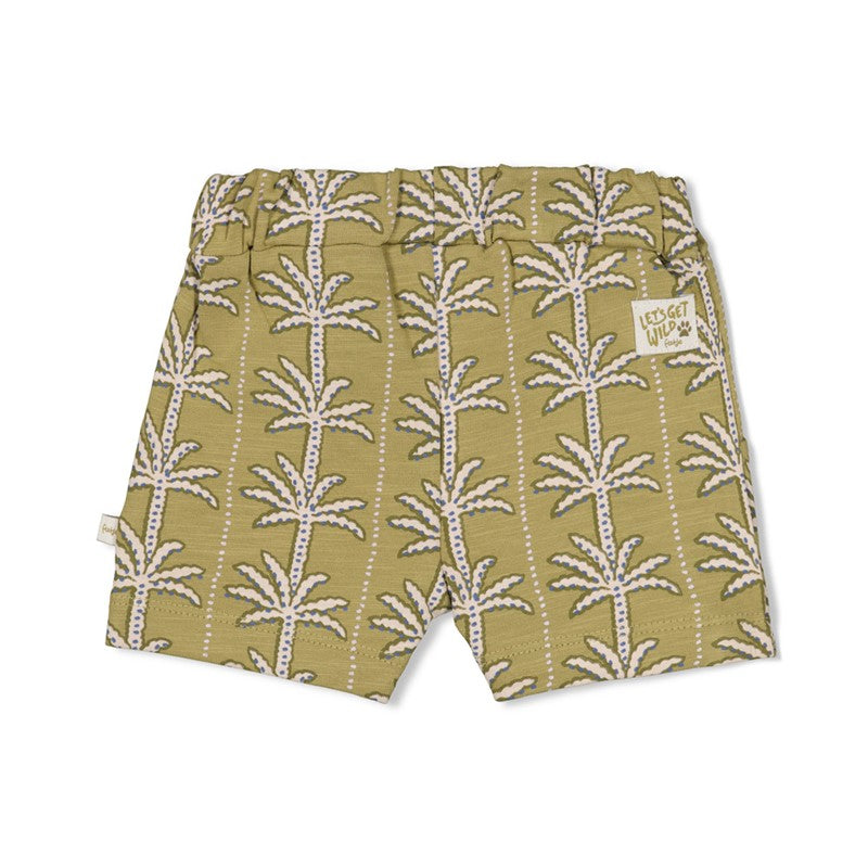 Short | Safari